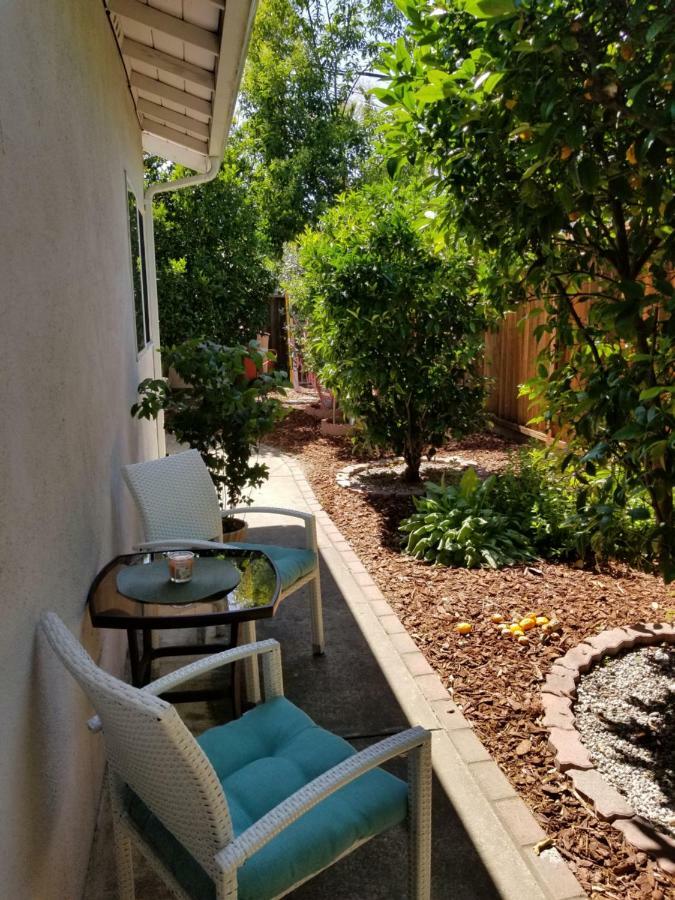 Вілла Luxury 2Br/1Ba Oasis In San Jose Ca Екстер'єр фото